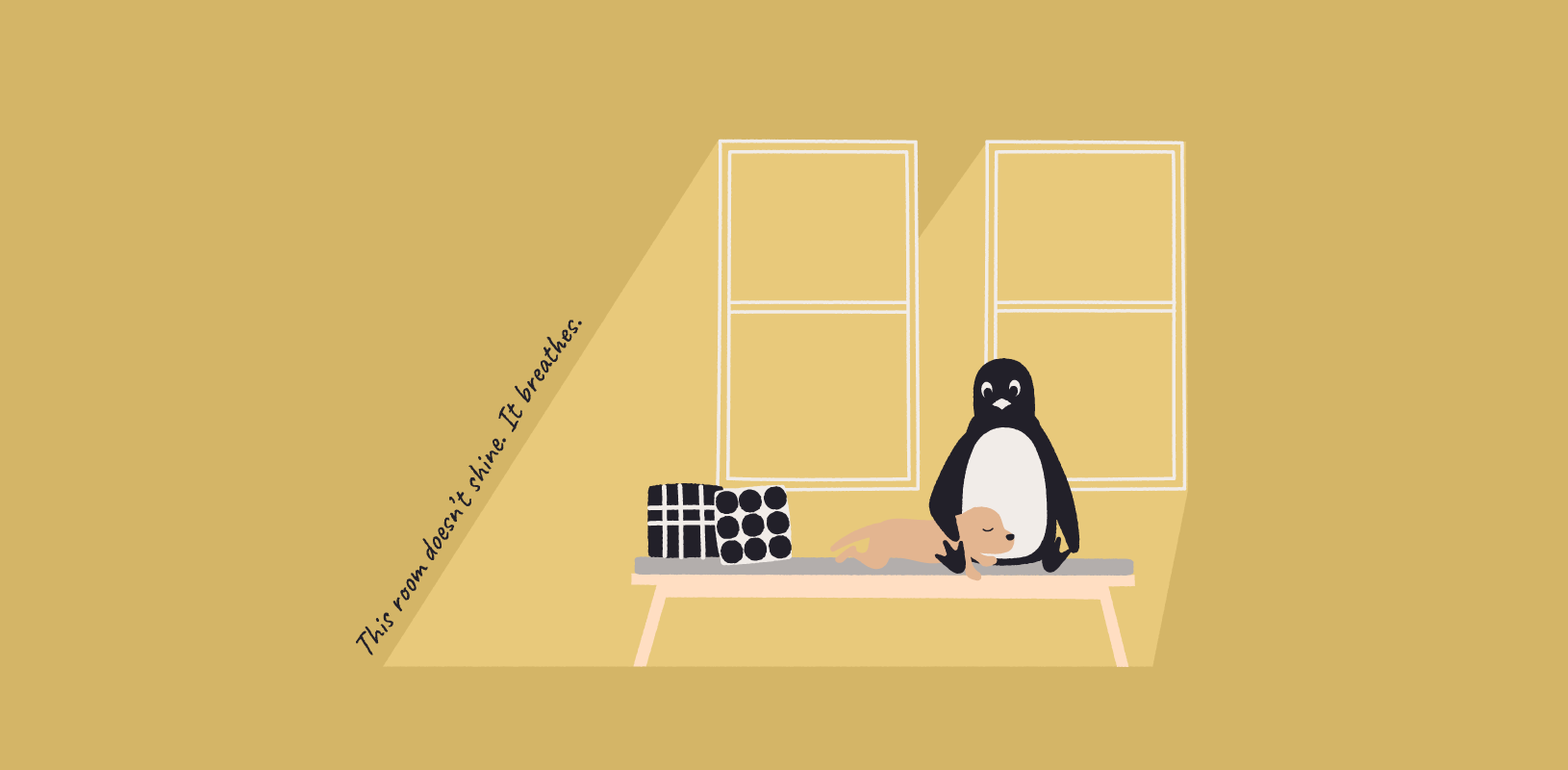 Designing Window Height by Lines of Light | 光と影でつくる、家の表情